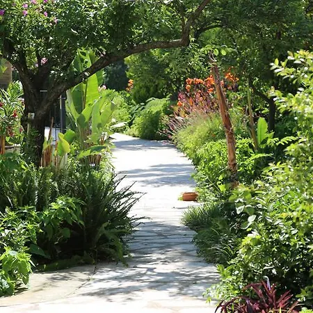 Отель Golden Key Хисароню