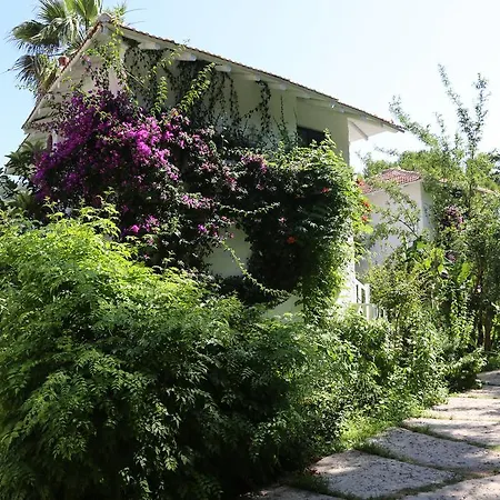 Отель Golden Key