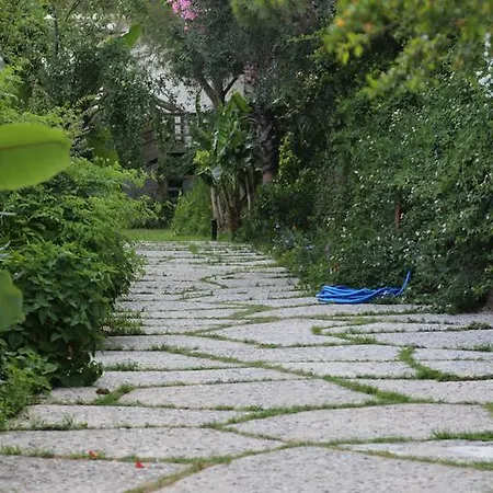 Golden Key Отель