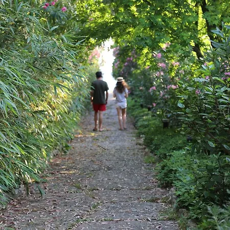 Отель Golden Key