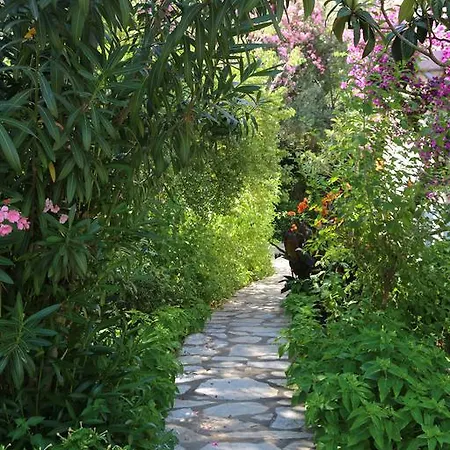 Отель Golden Key