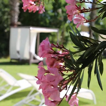 Golden Key Хисароню