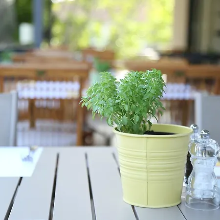 Golden Key Отель