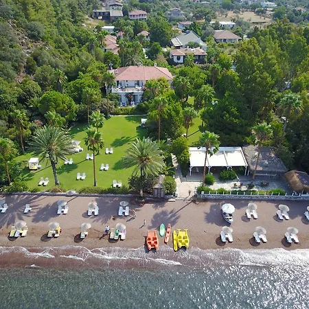 Отель Golden Key