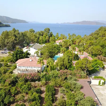 Отель Golden Key 5*