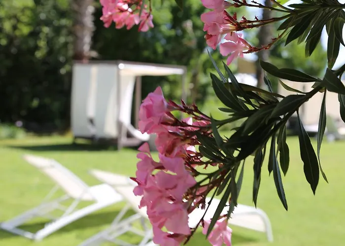 Golden Key Хисароню